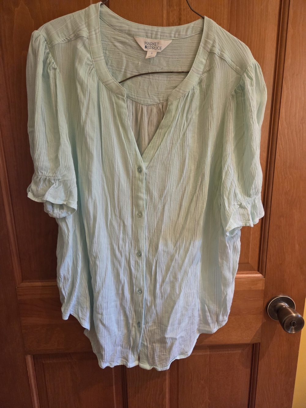 Market & Spruce Light Mint Green Button-Front Blouse
